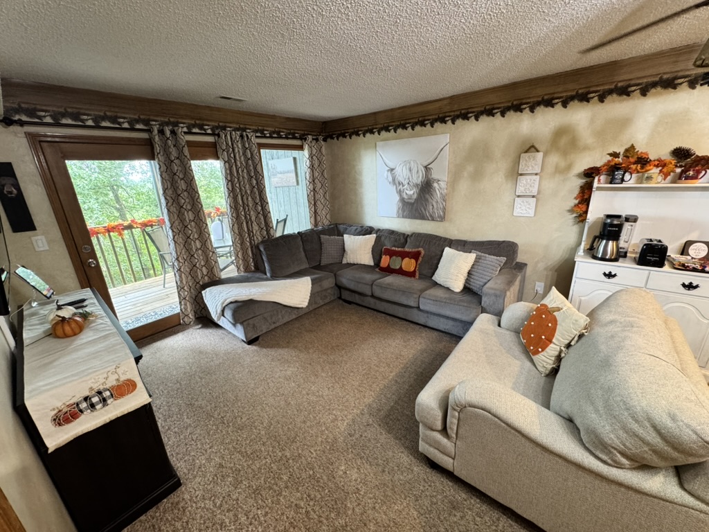 Living room with fall pillows